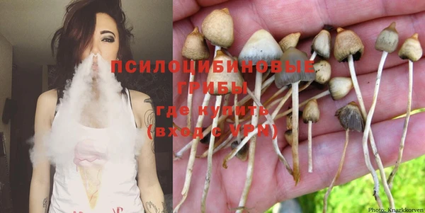 дживик Алексеевка