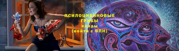твердый Алзамай
